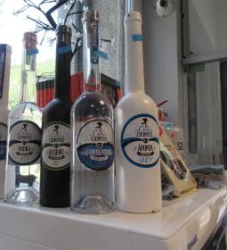 Múzeum Terasz & Kávézó