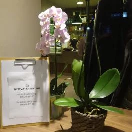 My Green Cup Budapest - Egyéb