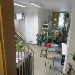 My Little Brew Bar Budapest - Belső