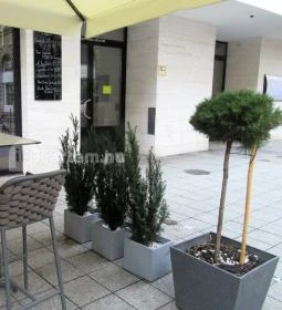 N28 Wine and Kitchen