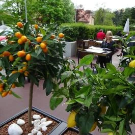 Na'Pasta Bistro, Budapest - Külső kép