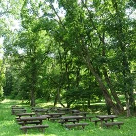 Nádasdy Arborétum Olaszfalu - Egyéb