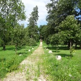 Nádasdy Arborétum Olaszfalu - Egyéb