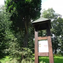 Nádasdy Arborétum Olaszfalu - Egyéb