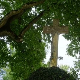 Nádasdy Arborétum Olaszfalu - Egyéb