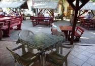 Nádfedeles Halsütő Balatonlelle