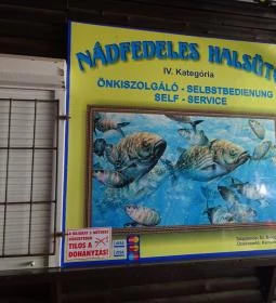 Nádfedeles Halsütő