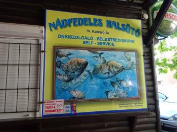 Nádfedeles Halsütő Balatonlelle