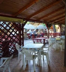 Nádfedeles Halsütő