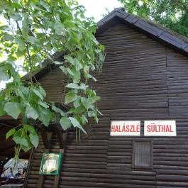 Nádfedeles Halsütő Balatonlelle - Külső kép