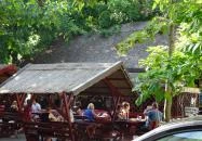 Nádfedeles Halsütő Balatonlelle