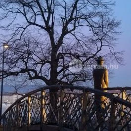 Nagy Imre szobra Budapest - Egyéb