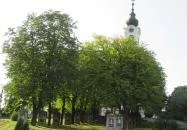 Nagyboldogasszony templom Pécsvárad