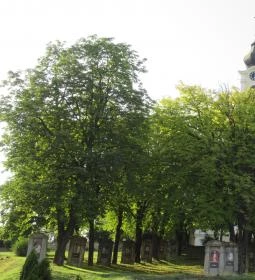 Nagyboldogasszony templom