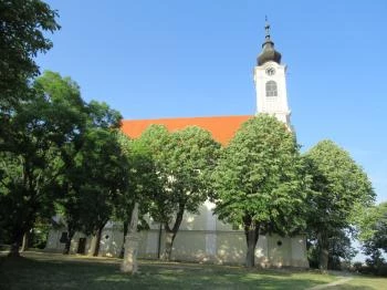 Nagyboldogasszony templom Pécsvárad