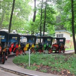 Nagyerdei Kultúrpark: Állatkert & Vidámpark Debrecen - Egyéb