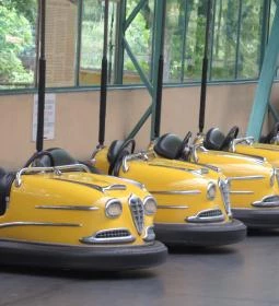 Nagyerdei Kultúrpark: Állatkert & Vidámpark