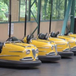 Nagyerdei Kultúrpark: Állatkert & Vidámpark Debrecen - Egyéb