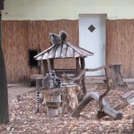 Nagyerdei Kultúrpark: Állatkert & Vidámpark Debrecen - Egyéb