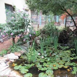 Nagyerdei Kultúrpark: Állatkert & Vidámpark Debrecen - Egyéb