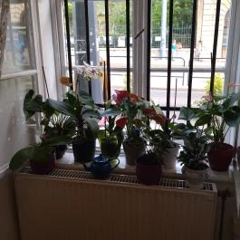 Nagyi Kifőzdéje Budapest - Egyéb