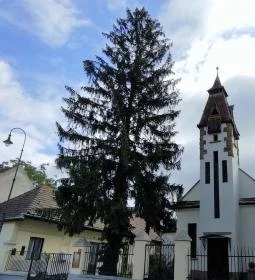 Nagymarosi Református templom