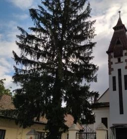 Nagymarosi Református templom