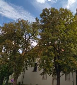 Nagymarosi Szent Kereszt felmagasztalása templom