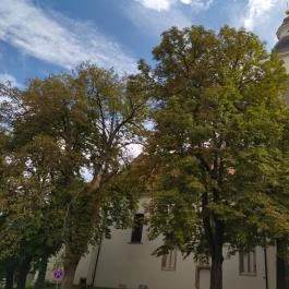 Nagymarosi Szent Kereszt felmagasztalása templom, Nagymaros - Egyéb