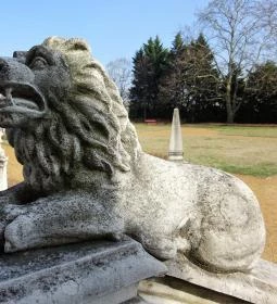 Nagytétényi Kastélymúzeum