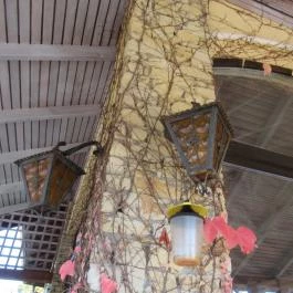 Nagyvillám Étterem Visegrád - Egyéb