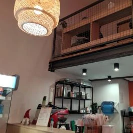 Namizu Budapest - Belső