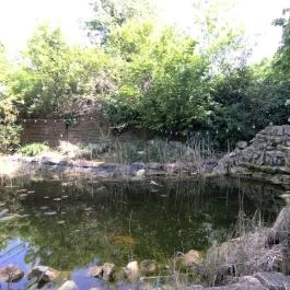 Nánási Étterem Budapest - Egyéb