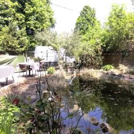 Nánási Étterem Budapest - Egyéb