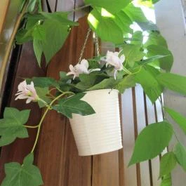 Nánási Étterem Budapest - Egyéb