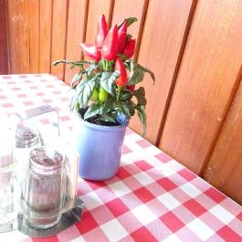 Náncsi Néni Vendéglője Budapest - Belső