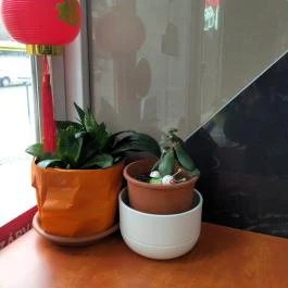 Nancy Food Budapest - Belső