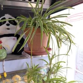 Nancy Food Budapest - Belső