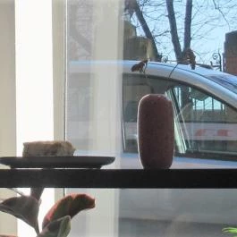 Nanu Coffee & Stuff Budapest - Egyéb