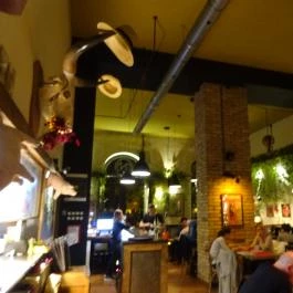 Napfény Műterem, Szeged - Belső