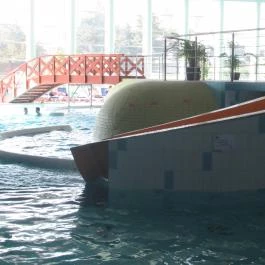 Napfényfürdő Aquapolis Szeged, Szeged - Egyéb