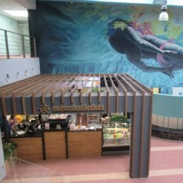 Napfényfürdő Aquapolis Szeged, Szeged - Egyéb