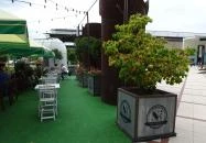 NapKözi - Millenáris Park Budapest