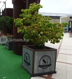 NapKözi - Millenáris Park