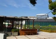 NapKözi - Millenáris Park Budapest