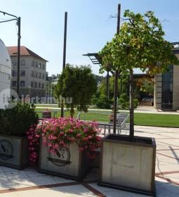 NapKözi - Millenáris Park