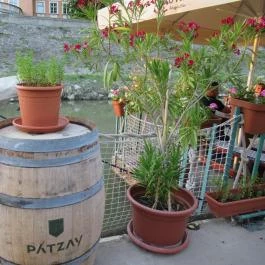 Nautilus Hajós Bár, Esztergom - Egyéb