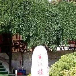 Nefrit Kínai Étterem, Budapest - Külső kép