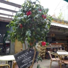 400 Bár, Budapest - Belső