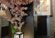 Neko Sushi Restaurant Budapest